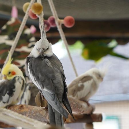Maerchencamping Stuhr Luaran gambar
